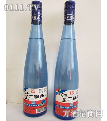 牛二陈 红星二锅头 480ML