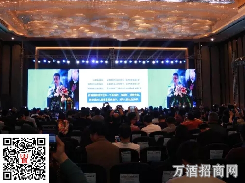 洋河朱伟：中产阶级崛起下酒业的“七变与一不变”
