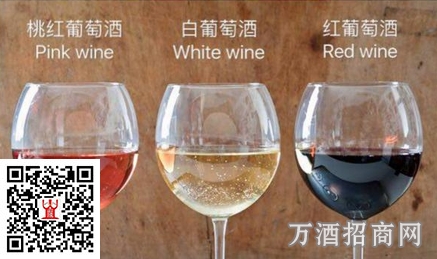 葡萄酒最常见的分类及英文词条