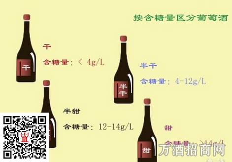 葡萄酒最常见的分类及英文词条